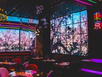 新宿・歌舞伎町「KUJIRA」、LEDビジョンで桜を楽しむ春限定イベント「VIRTUAL SAKURA viewing」を4月1日より開催