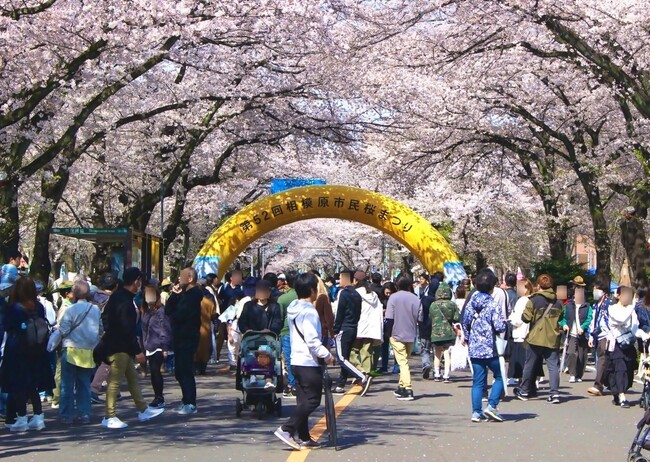 「第５３回 相模原市民桜まつり」を ４月４日（土）５日（日）に開催します