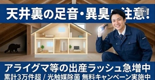 【福岡・熊本・佐賀】4月から屋根裏・天井裏の害獣出産期本格化！　　　　　アライグマやイタチ等の害獣による騒音・糞害・子供の鳴き声等のご相談が増加、無料調査と衛生対策キャンペーン開始！