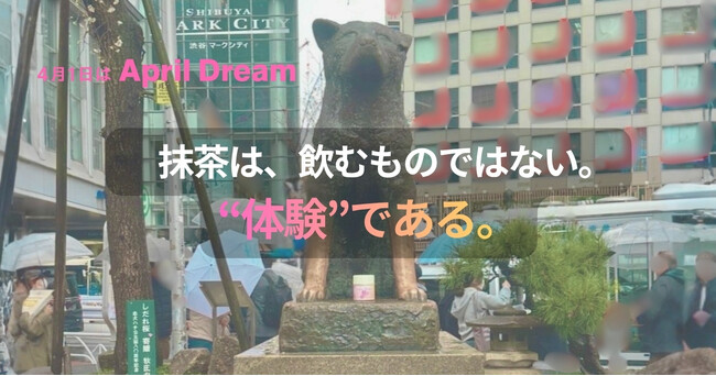 【再販決定】発売直後に完売した“桜抹茶”。「飲む」から「点てる」へ、広がり始めた新しい体験｜WACHA