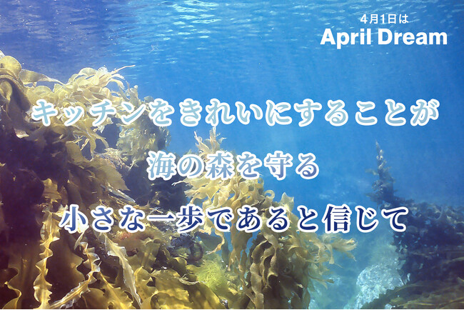 キッチンをきれいにすることが、海の森を守る未来へ。