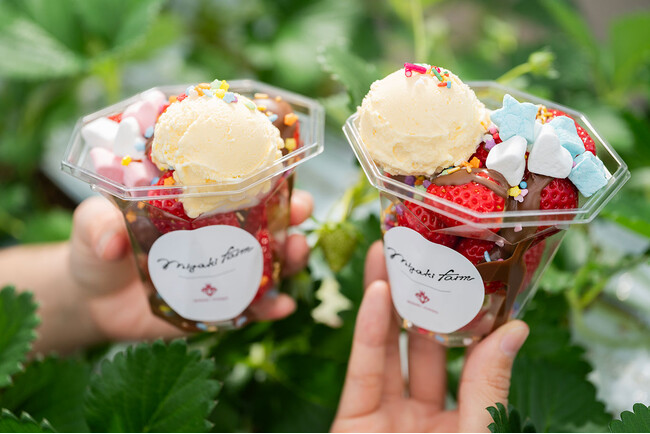 ＜MIGAKI FARM＞4～5月のハウスを涼しく楽しむ！いちご狩りプレミアムプランに、摘みたていちごをオリジナルパフェに変える「ひんやりバニラアイス」オプションが4月4日初登場