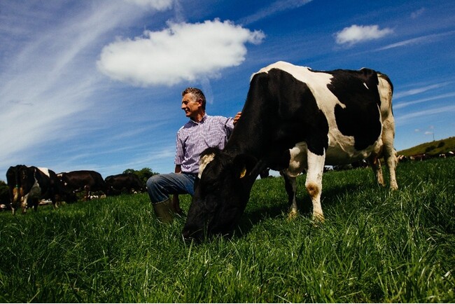 アイルランド政府食糧庁Bord Bia（ボード・ビア）2025年のアイルランド産乳製品の対日輸出実績を発表