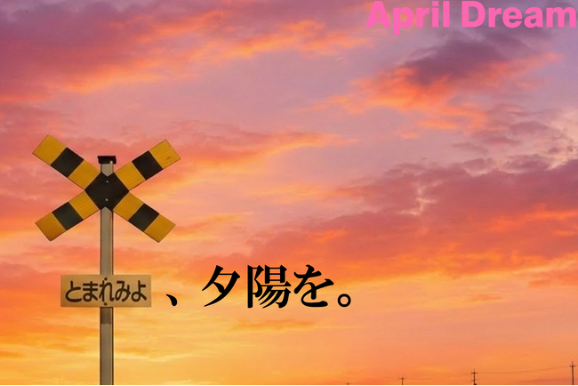 とまれみよ、夕陽を。夕陽を眺める、心豊かな文化の創造。