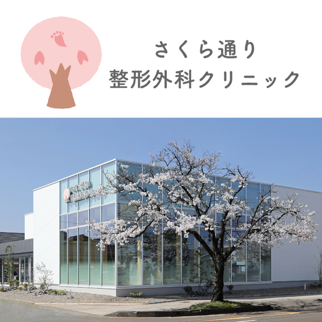 【ふくい桜マラソン2026】SNSで話題の電柱広告180本でランナーを応援