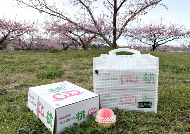 「手がちぎれるような思い」で運んでいた桃。農家の声から生まれた新トートを発売