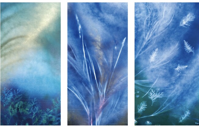 【パリ凱旋】自然の造形美を写し出す「ネイチャーアート」個展、銀座で開催。
