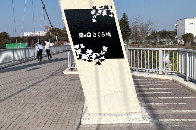 染めQテクノロジィ埼玉県・幸手市とネーミングライツ契約を締結　桜の名所 権現堂桜堤のほど近くにある外野橋の名称を「染めQさくら橋」に～橋の名称に合わせた支柱塗装や看板を設置～