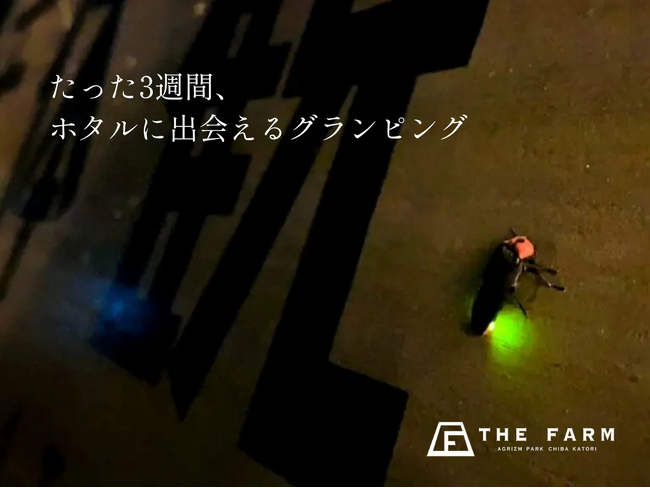 初夏の3週間の光を滞在体験に。農園リゾートTHE FARMが宿泊者限定ホタル観賞イベントを開催