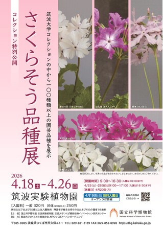 【国立科学博物館 筑波実験植物園】コレクション特別公開「さくらそう品種展」開催および報道内覧会のご案内