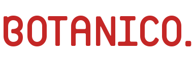 AI検索時代の“売れる仕組み”を公開──BOTANICOがSNS戦略セミナーを全3回開催！