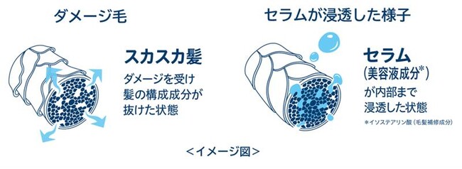 女神級にまとまるツヤ髪へ導く『MEGAMIS』から『雨上がりの虹の香り うねりケアヘアセラムセット』を数量限定で新発売