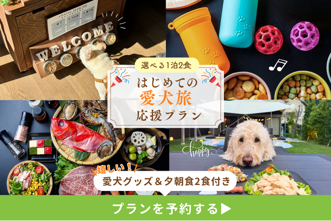 【はじめての愛犬旅を応援】手ぶらで安心、お散歩グッズ・愛犬ごはん付き特典プラン登場―天然温泉・サウナ・プール完備「ドッグヴィラ千葉南房総」