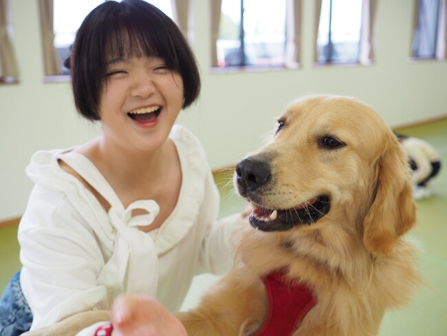 【こどもの休日の過ごし方】１人１頭！救助犬トレーナー体験スクール～基礎編～