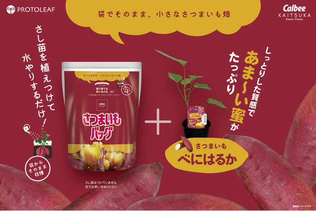 家庭で手軽にさつまいも栽培を！ 袋で育てるおいもの土『さつまいもバッグ』新発売