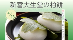 子供の成長を願う初夏の縁起菓子「柏餅」4月13日（月）販売開始。伝統製法で仕上げる季節の和菓子