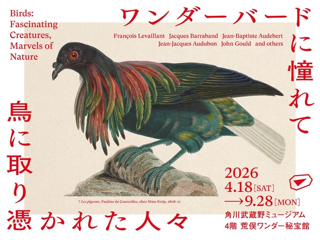 カメラのない時代に、本物を写しとった執念の博物画　19世紀の人々が憧れて描いた「鳥」にまつわる荒俣宏コレクションを一挙公開　「ワンダーバードに憧れて　鳥に取り憑かれた人々」開催決定