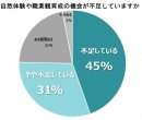 体験機会の不足状況に関する調査結果