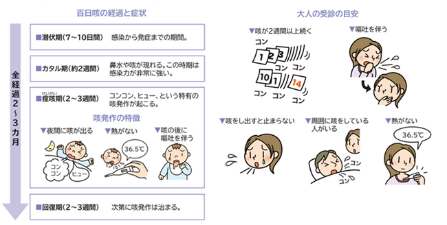 【大正健康ナビ】大人の百日咳・大人の百日咳チェック