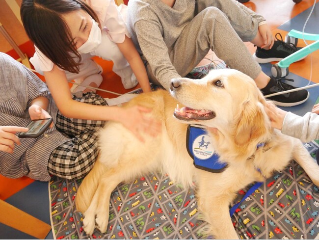 神奈川県立こども医療センターのホスピタル・ファシリティドッグ(R)︎「アニー」が引退します