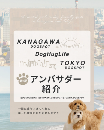 累計フォロワー約3.7万の犬連れおでかけ情報メディア「神奈川 DOG SPOT」「東京 DOG SPOT」「Dog Hug Life」が第2期アンバサダーを発表