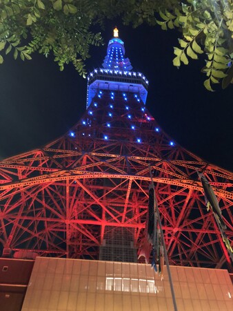 【世界自閉症啓発デー】ライトアップされた東京タワーに、300人が参加