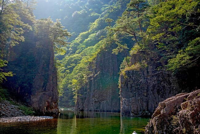 特別名勝「三段峡」に位置する山林の一部(約122ha)を取得