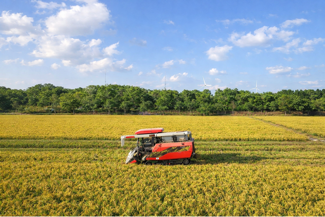 年間200万トンの籾殻が未活用　農業副産物を食品へ転換する日本発プロジェクト「Kami - 神 -」始動