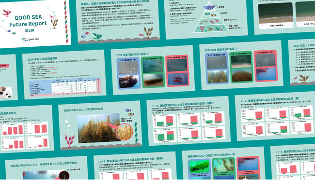 海藻養殖は「生態系を拡張する」 全国6海域の定量調査で初めて実証。「GOOD SEA Future Report 第2弾」公開