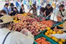 果物・新鮮野菜詰め放題
