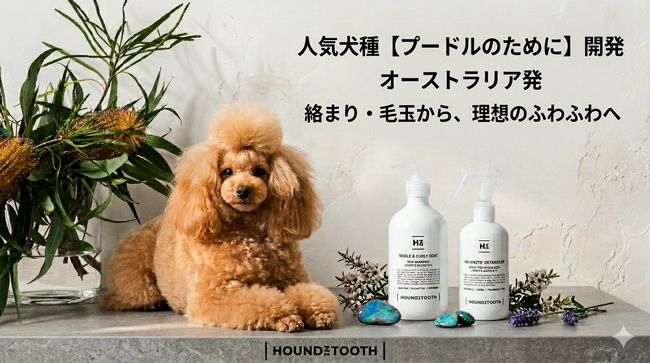 人気犬種 (連続18年登録頭数1位)【プードルのために】開発！「巻き毛・毛玉悩み」に特化。オーストラリア発・理想のふわふわを叶える極上シャンプー＆スプレーが本格発売！