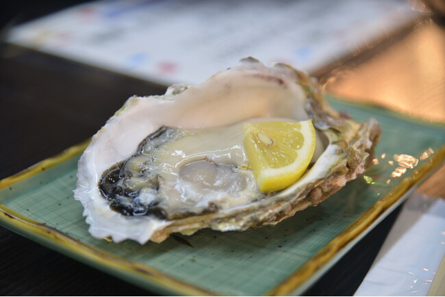 「海の京都」を代表する岩がきが旬へ。海上取材＆試食会