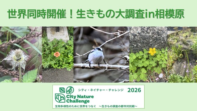 【生物多様性に興味のある皆さまへ】相模原市で世界規模の「生きもの調査」に参加してみませんか！