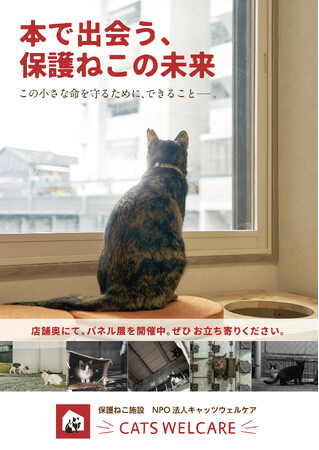 【大阪】「本で出会う、保護ねこの未来」―保護猫活動の現状と猫との暮らしを考えるパネル展、および関連書籍販売イベントを、ジュンク堂書店 難波店にて開催します