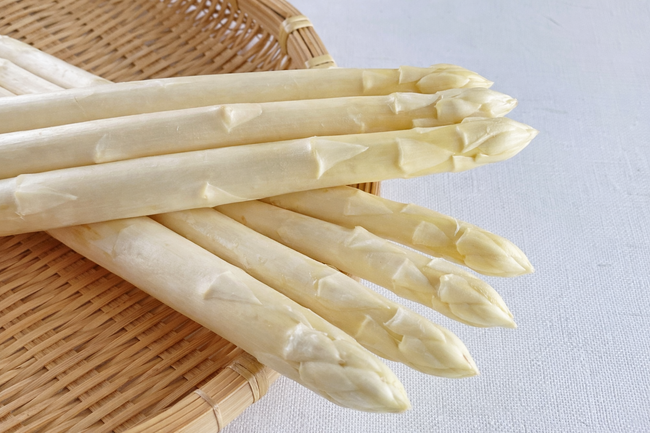 【福島・会津地方より産地直送】甘くやわらかな旬の味覚「アスパラガス」販売開始。希少なホワイトアスパラも登場