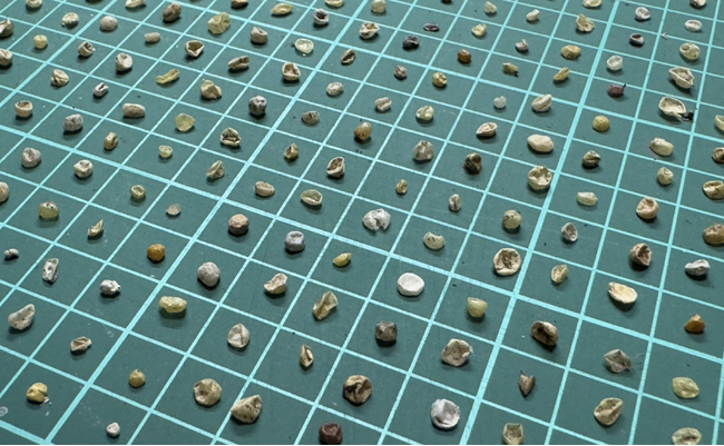 NPO法人クリーンオーシャンアンサンブル、第5弾コラムを公開「マイクロプラスチック回収技術の最前線」