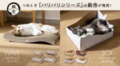 くつろぐ×爪とぎ／隠れる×爪とぎ
シリーズ累計販売数95万個「バリバリシリーズ」から
新商品2種を4月15日発売