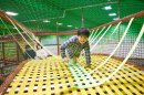 カラックリ　ブリッジ