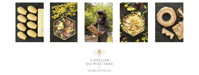 大阪・心斎橋に、蜂蜜とオーガニック洋菓子の新ブランド誕生【L’ATELIER DU MIEL TORII × shodai bio nature】