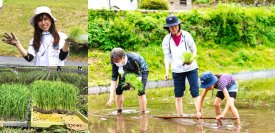 美肌菌が豊富なオーガニック農場で＜5/23(土)＞田植え体験＆キャンプ宿泊を開催