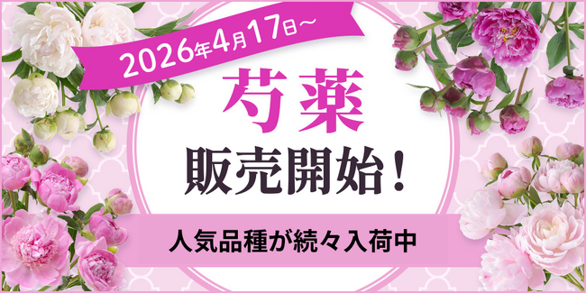 【芍薬販売開始】滝の粧、華燭の典など人気品種が続々入荷中｜花の卸通販フラワースミスマーケット
