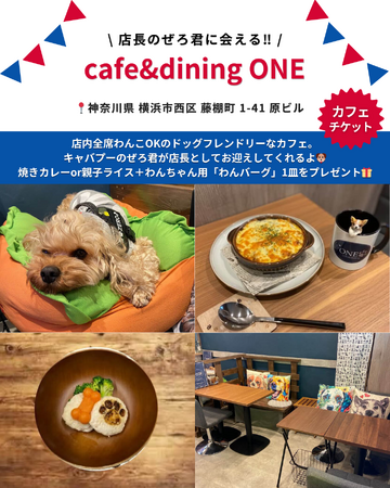看板犬がいる横浜カフェ「cafe&dining ONE」が「Barky Life」イベント限定特典に協賛　― YOKOHAMA GOGO DOG FES 2026 Spring に出店 ―