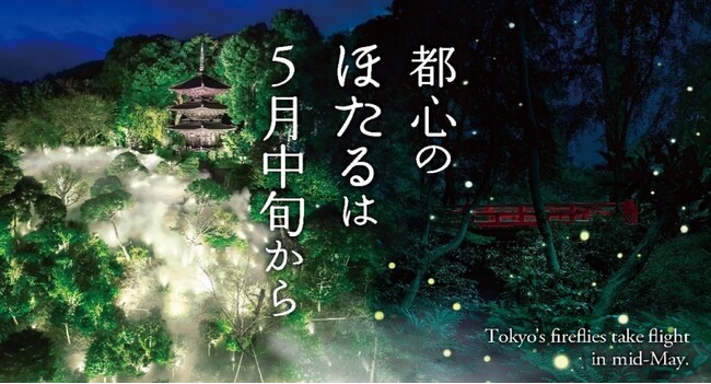 【ホテル椿山荘東京】～初飛翔は5月中旬の見込み～ 4月16日（木）に蛍の幼虫が土に上陸！初夏の風物詩が始動