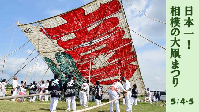 【相模原市】その大きさ日本一！令和８年「相模の大凧まつり」を5月4日・5日に開催します！