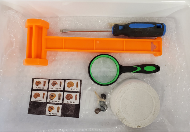 【本物化石入り】削ると“化石”が出てくる発掘体験キットを開発　親子イベント・商業施設向けに提供開始