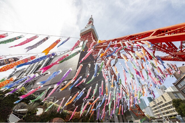 今年のGWは東京タワーで春満喫！「333匹の鯉のぼり」＆「桜のプロジェクションマッピング」好評開催中！