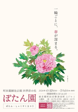 【町田】約330種類のぼたんが咲く名所で音楽×キッチンカーも楽しめる「ぼたん・しゃくやくまつり」