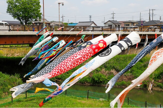 新河岸川に春の風に乗って、250匹のこいのぼりが泳ぎます