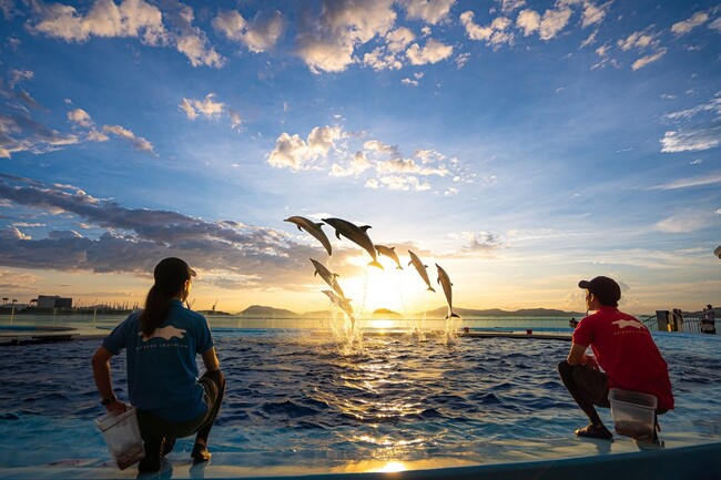 特別なひとときをお過ごし下さい　四国水族館で夜の水族館『Nightscapeこがねいろ2026 G.W.』 を開催