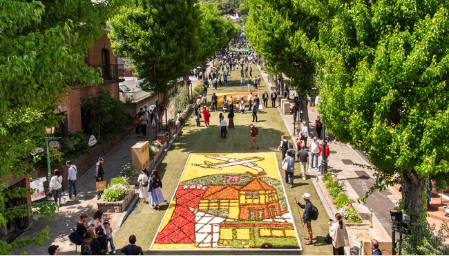 40万人が訪れる神戸の春の風物詩「インフィオラータこうべ2026」各会場の花絵が決定！
